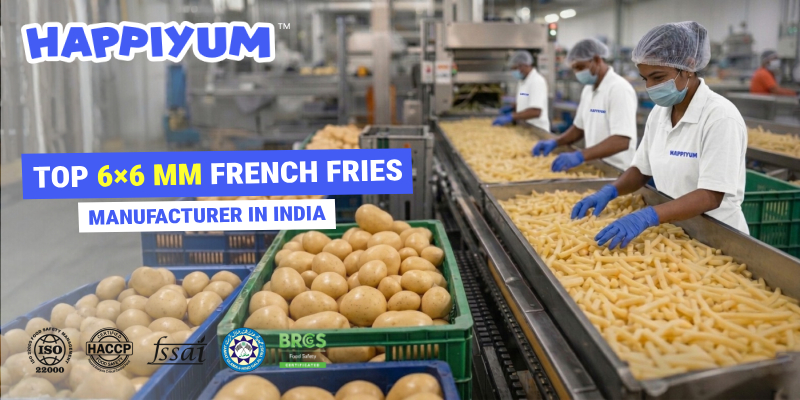 印度顶级 6×6 毫米薯条制造商